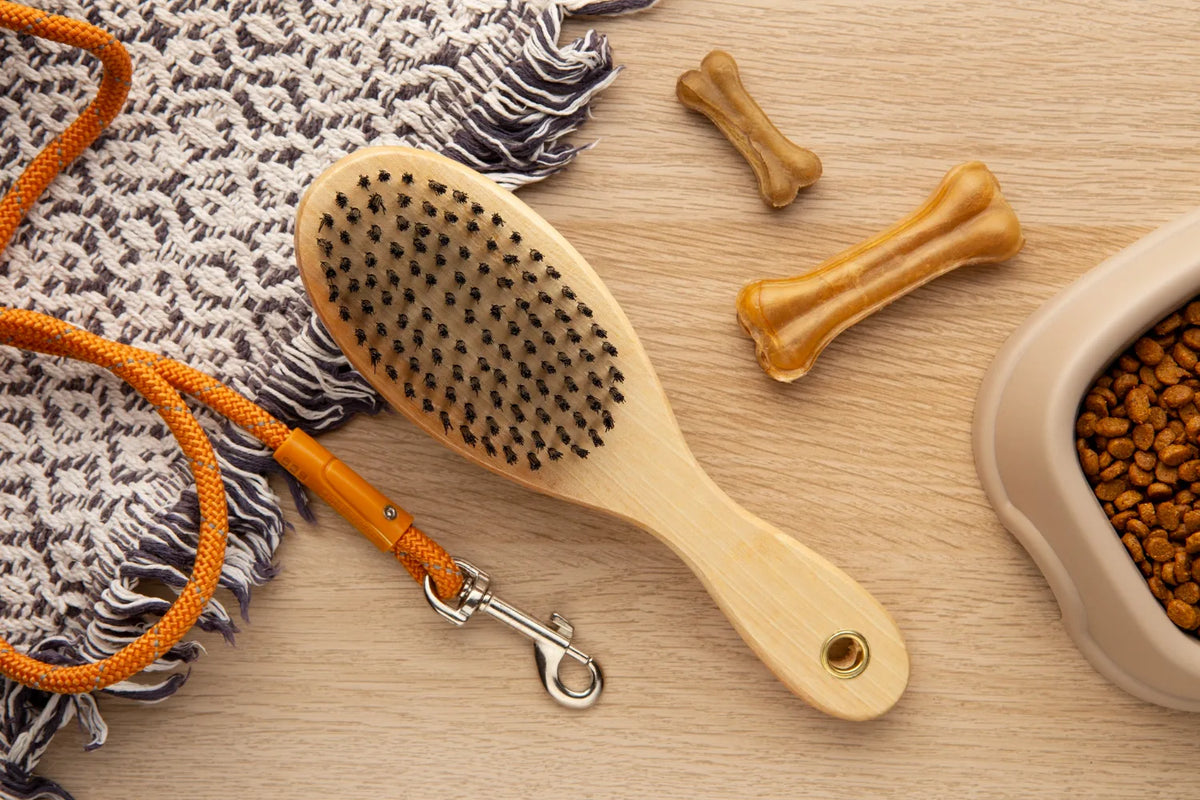 Shop Pet Accessories