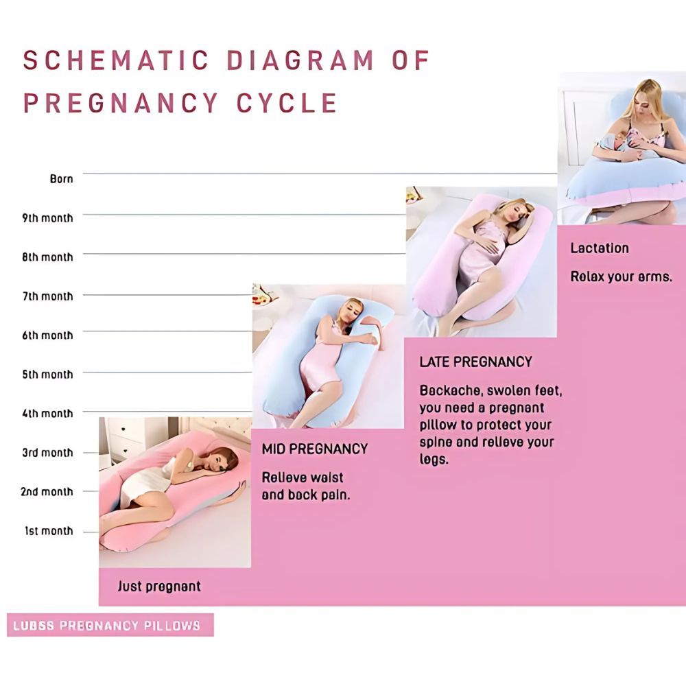 Schematic diagram of pregnancy cycle with images of a pregnant woman using a U-shaped pregnancy pillow.